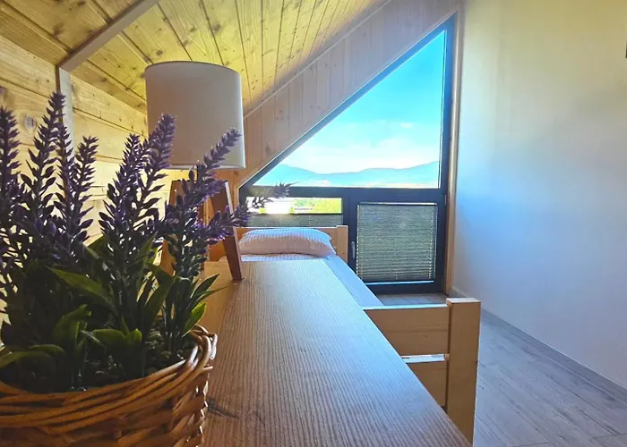 Fields - Na Dzikiej Lace 2